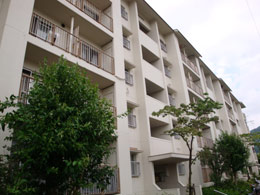 �������J����Q�Z��