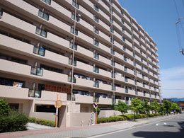 �t�@�~�[���n�C�c���s�����X�e�[�W�P