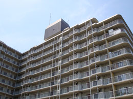 �R�[�v�쑺���s��