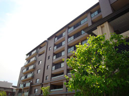 �G���E�p�[�N�X�N�G�A���s����