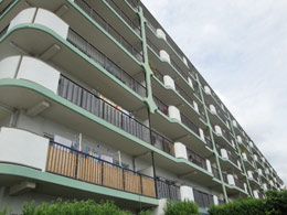 ���j�n�C���l��~��