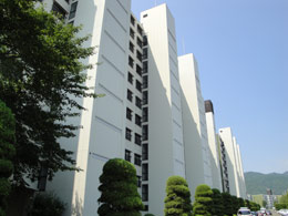 ���R���C�A���n�C�c