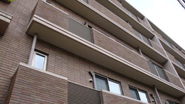 �O�����E�u���[�k�R��