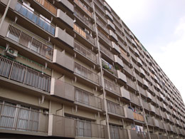 �R�Ȓc�nD��