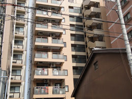 ���C�I���Y�}���V�����l��x���Q