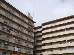 �j�K�[�f���n�C�c