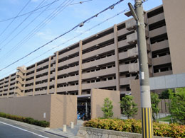 �R�X���V�e�B�~���H����