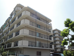 �l�I�R�[�|���`