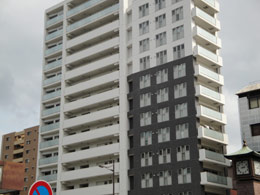 �l�o�[�����h�G�ی܏�