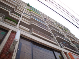 �W���l�X���H