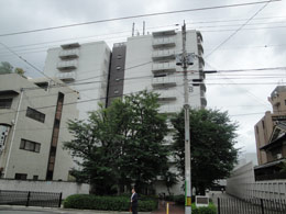 �l�I�R�[�|���X���m��