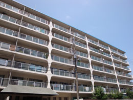 �}���n�C���R��