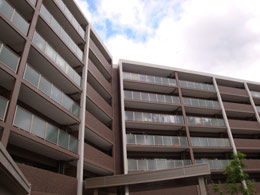 BELISTA���s�R��