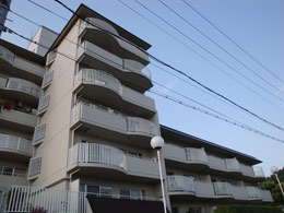 �n�C�c����