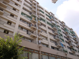 �F�T�n�C�c